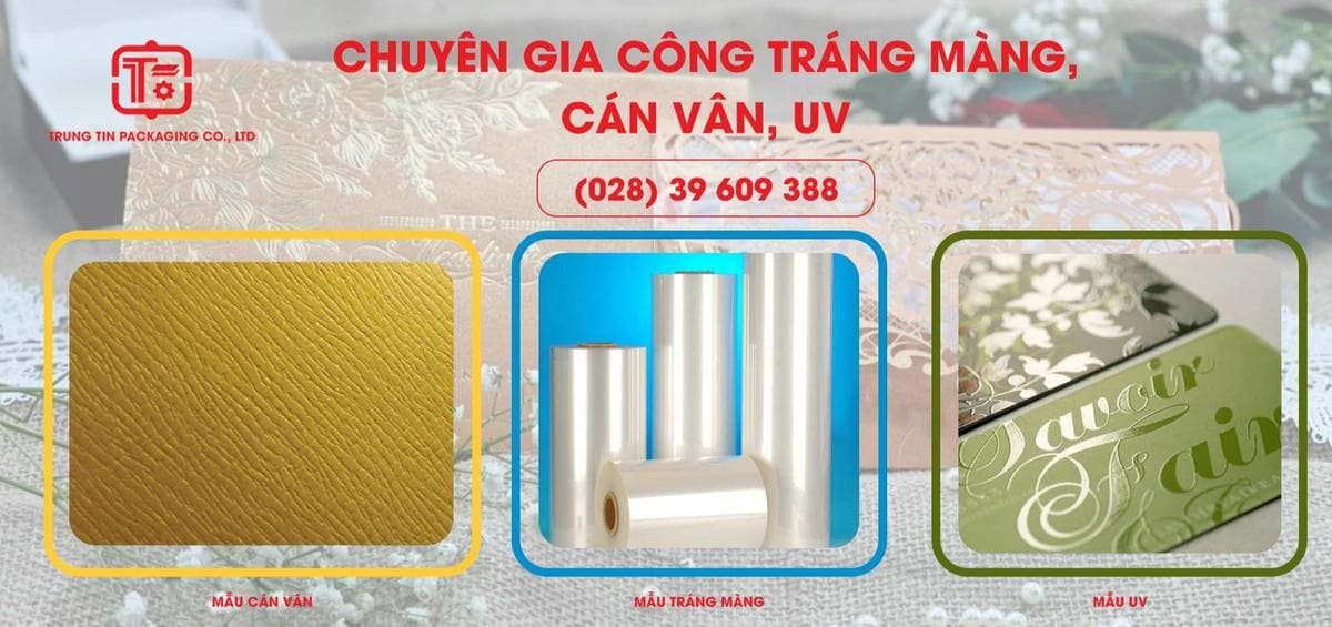 Trung Tin Hardcover Packaging facility 2
