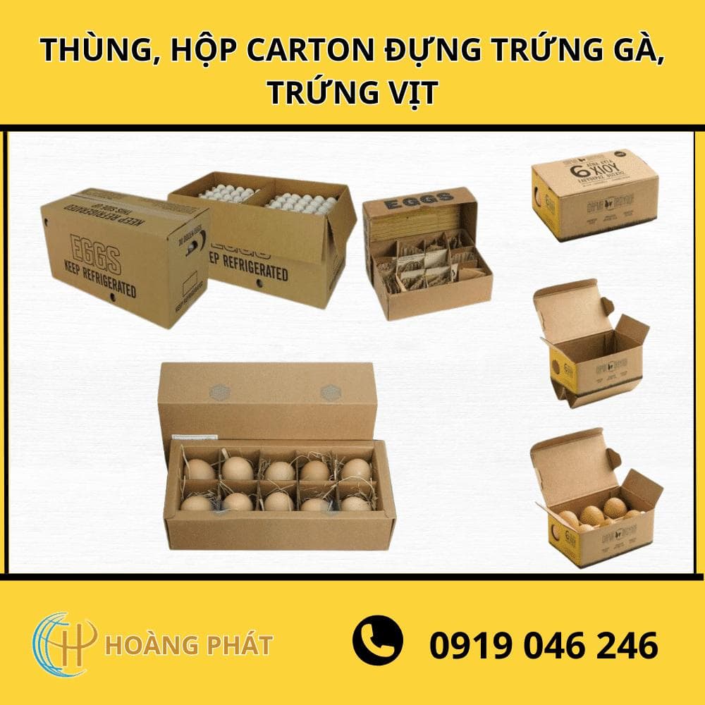 CÔNG TY TNHH SX TM BAO BÌ HOÀNG PHÁT facility 3