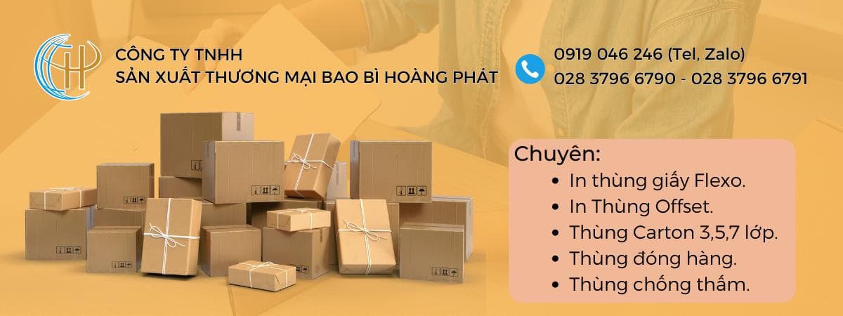 CÔNG TY TNHH SX TM BAO BÌ HOÀNG PHÁT facility 1