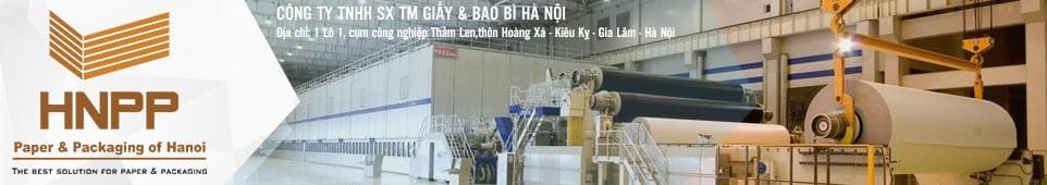 Hanoi Paper and Packaging Production Trading Company Limited facility 1