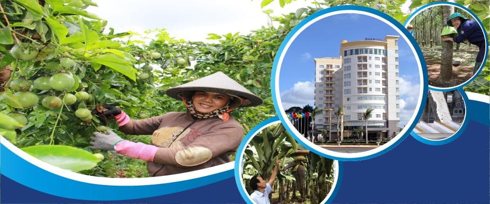 Dak Lak Rubber Joint Stock Company (DAKRUCO) facility 3