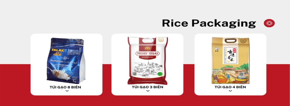 MODERN PACKAGING COMPANY LIMITED (VIETNAM) facility 3