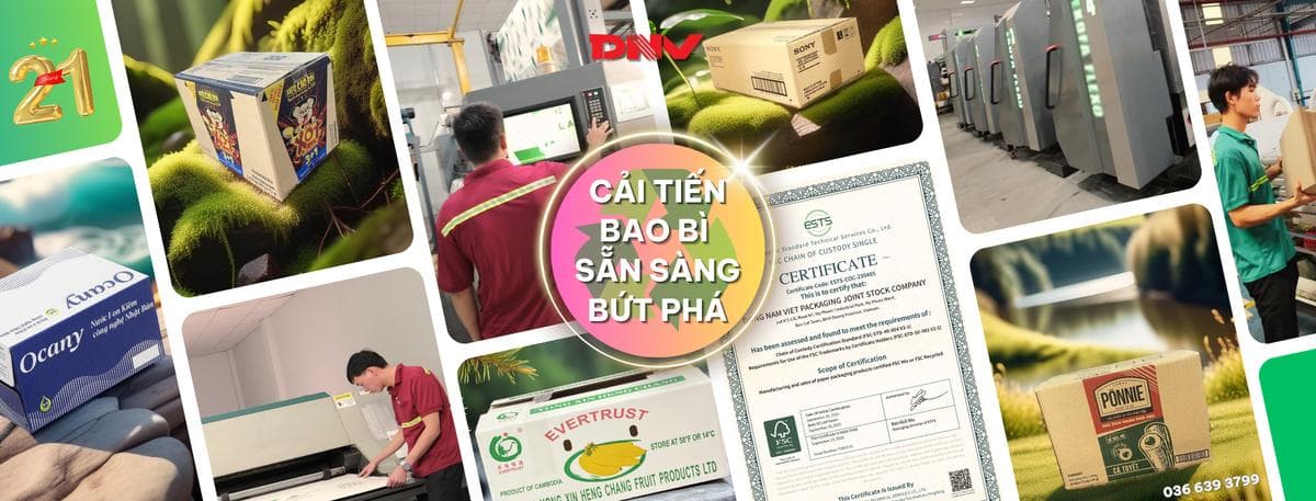 CÔNG TY CỔ PHẦN BAO BÌ ĐÔNG NAM VIỆT facility 2