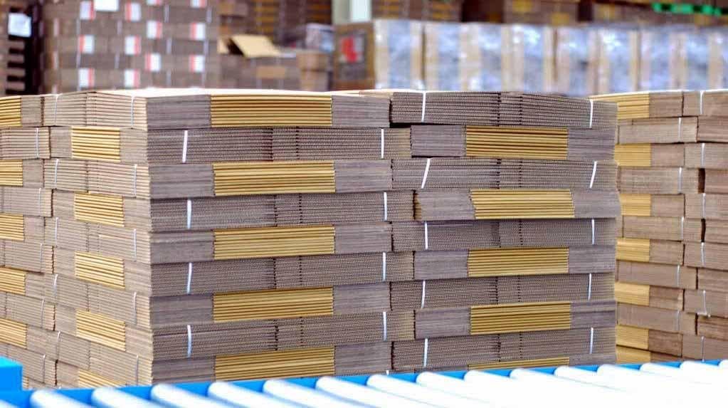 CÔNG TY TNHH SX TM DV ĐỒNG SỬ LONG AN facility 1