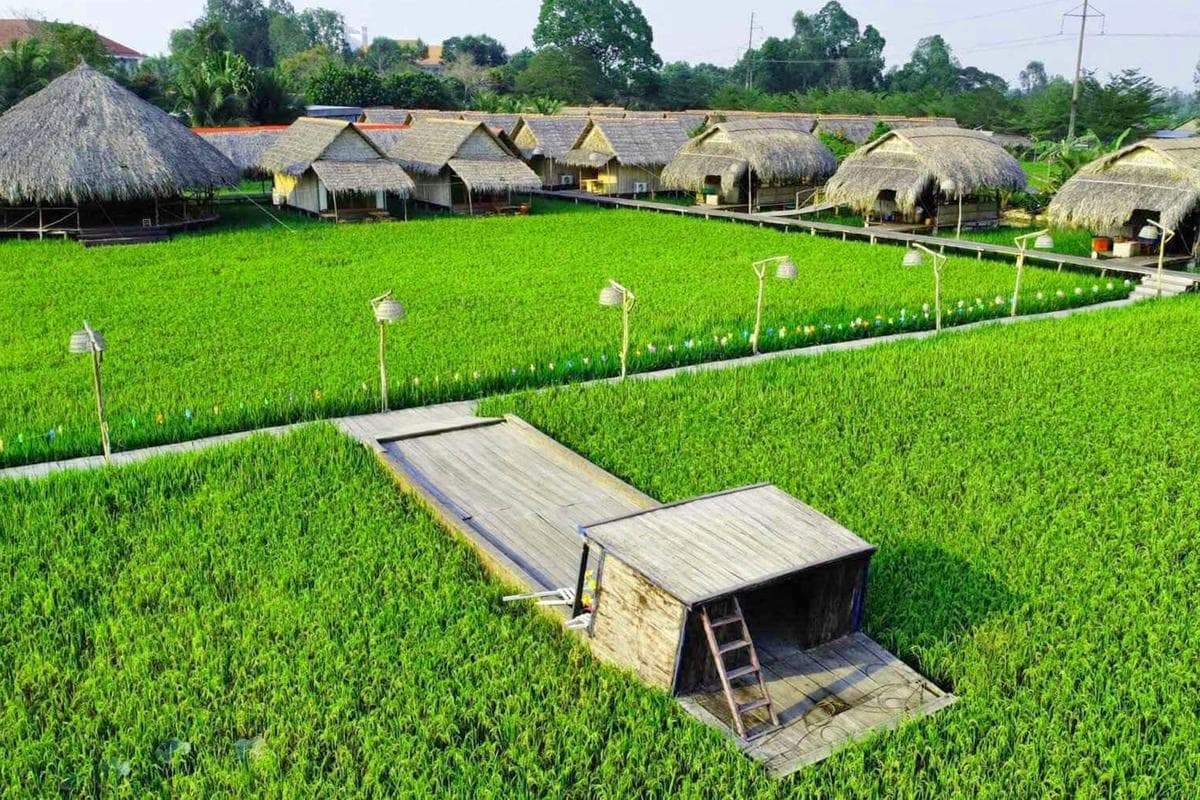 Khu du lịch sinh thái Mỹ Phước Thành facility 2