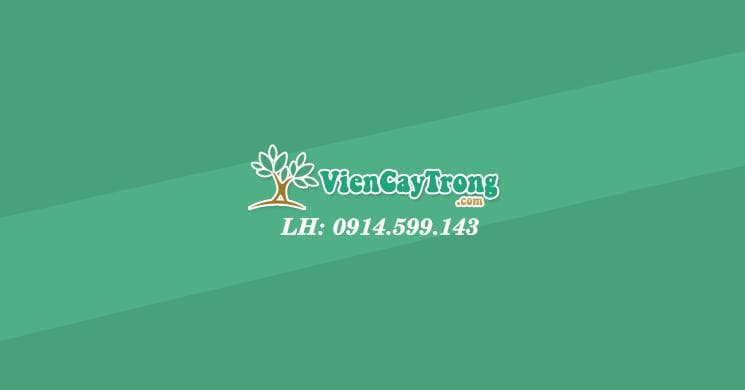 Hợp Tác Xã Khuyến Nông facility 1