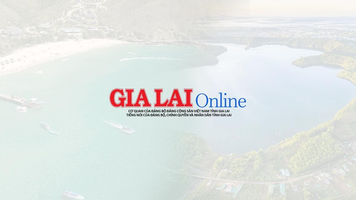 Báo Gia Lai facility 1