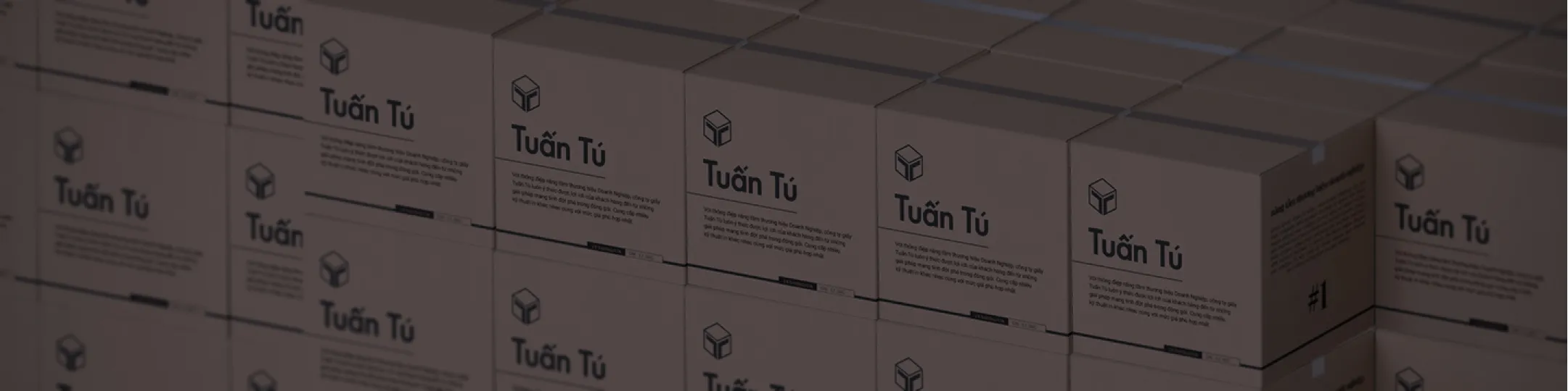 Công ty sản xuất thùng carton tại Bình Dương - Tuấn Tú Packing facility 2