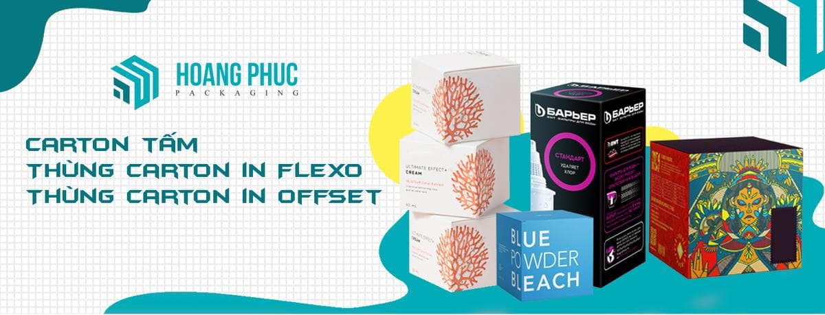 Công ty Sản Xuất Thùng Carton - Bao bì carton tại TPHCM - Hoàng Phúc Pack facility 2