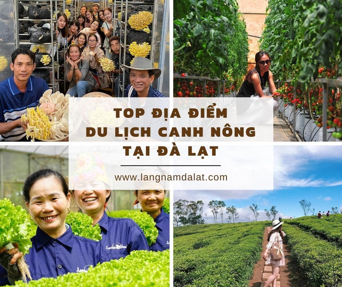 Làng Nấm Đà Lạt facility 1