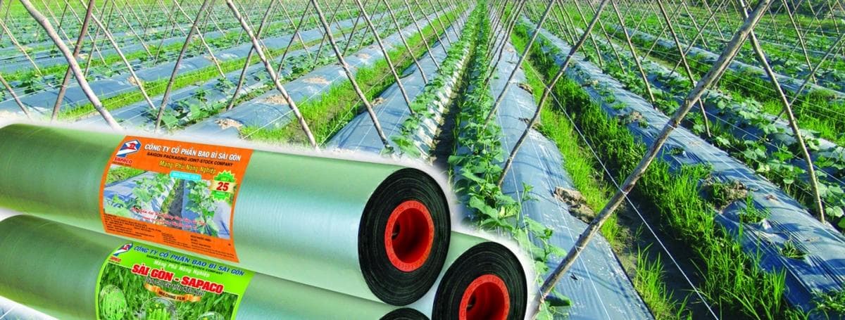 CÔNG TY CỔ PHẦN BAO BÌ SÀI GÒN - SAPACO facility 3