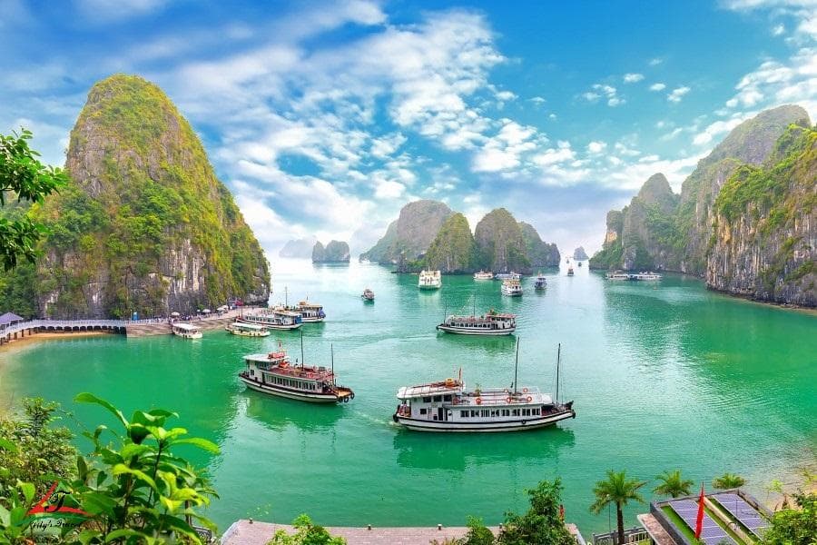 Sun Wheel Hạ Long facility 1